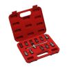 Набор для откручивания масляных пробок, 12 предметов Car-Tool CT-N0124
